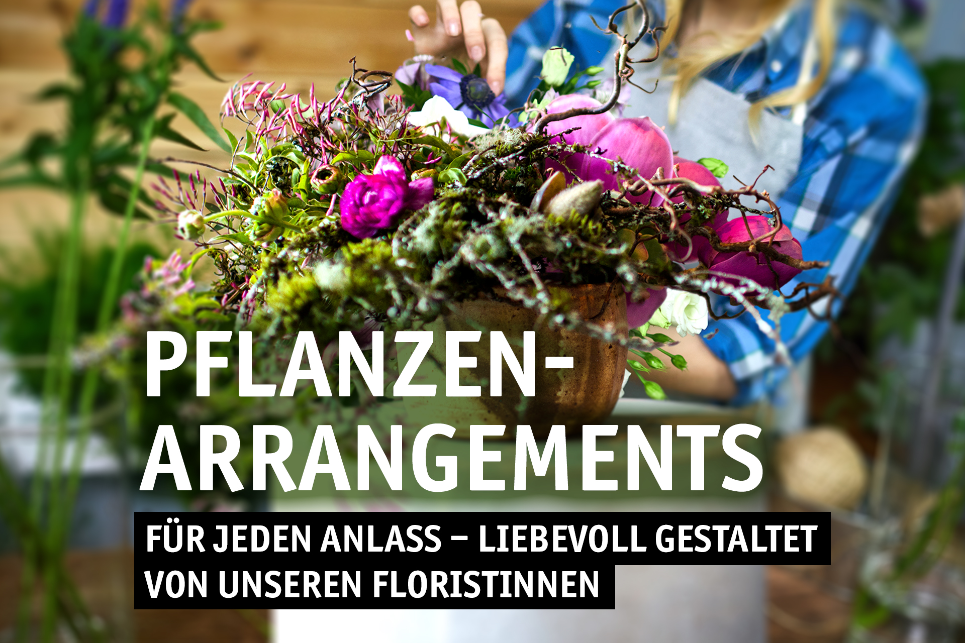 Pflanzen-Arrangements.jpg