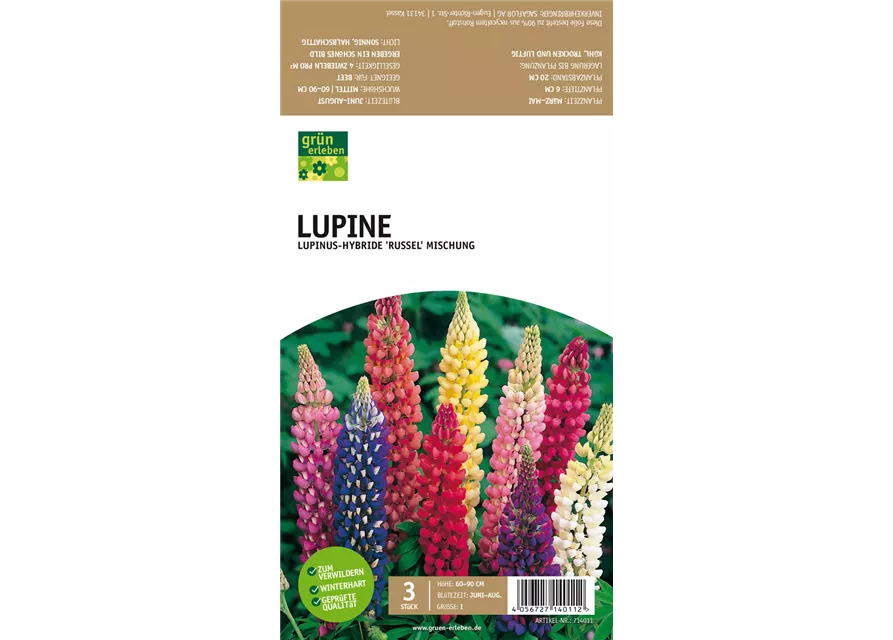 Lupine