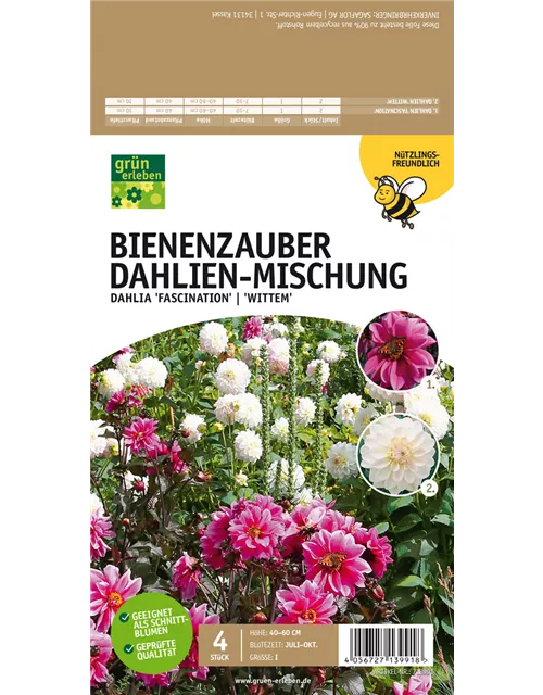 Bienenzauber Dahlien-Mischung