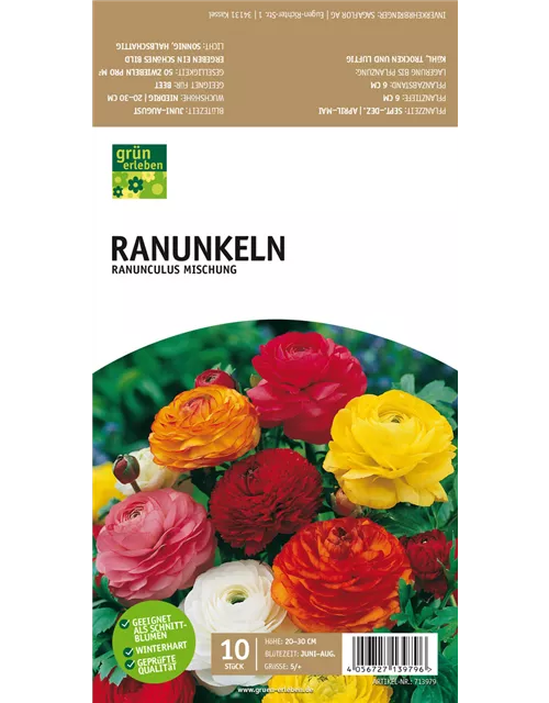 Ranunkeln