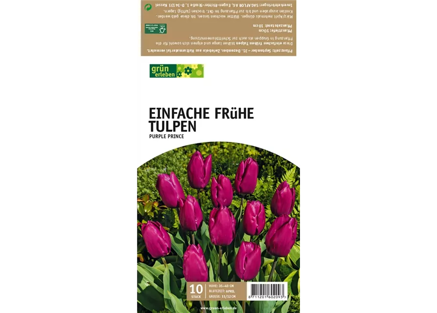 Einfache frühe Tulpen