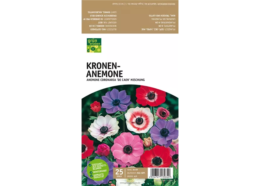 Kronen-Anemone