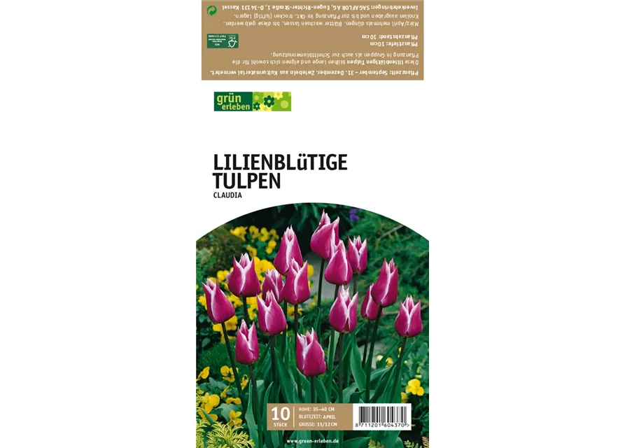 Lilienblütige Tulpen