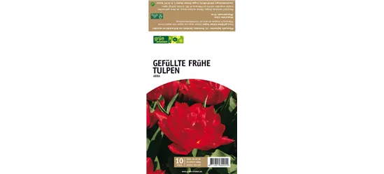 Gefüllte frühe Tulpen