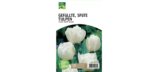 Gefüllte späte Tulpen