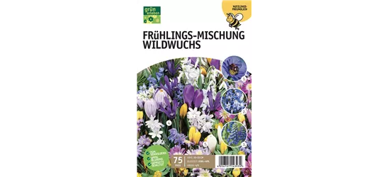 Frühlingswiese