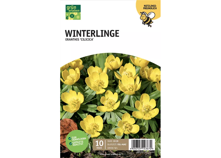 Winterlinge