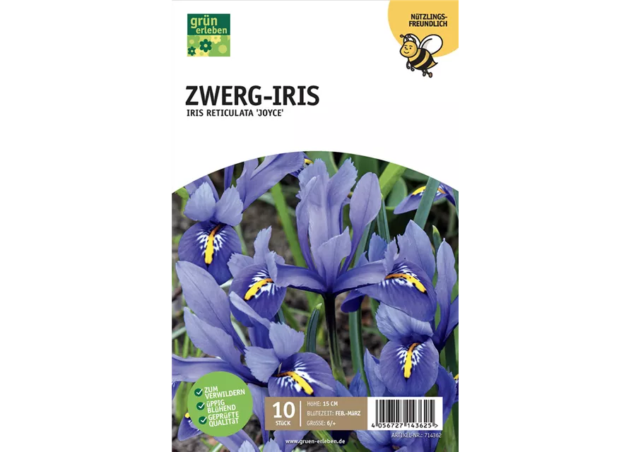 Zwerg-Iris